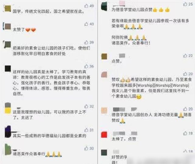 全素幼儿园？成都“德音学堂”引网友热议目前教育局已进行调查(图6)