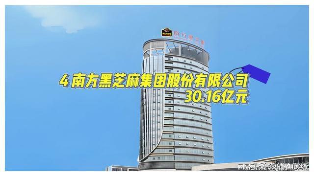 完美体育网站广西玉林民营企业营收排行榜(图5)