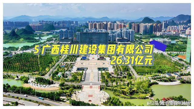 完美体育网站广西玉林民营企业营收排行榜(图4)