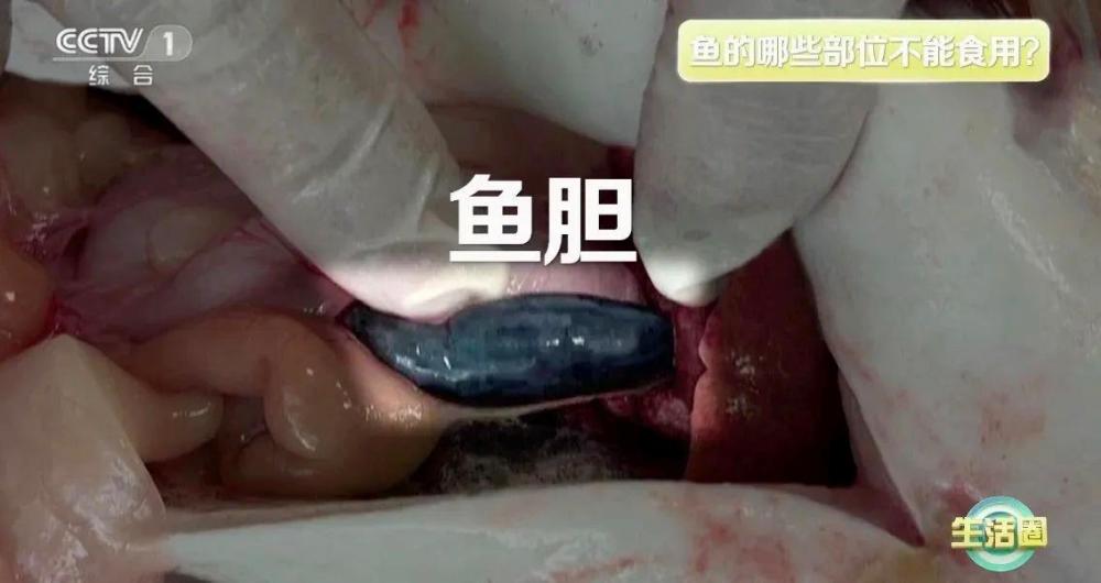 想长寿先学会“吃”！吃对这6种食物心血管健康又长寿(图10)