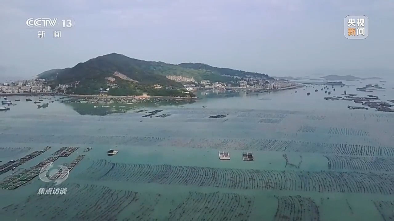 焦点访谈丨“海上牧场”“森林粮库”大食物观让人们吃饱又吃好(图4)