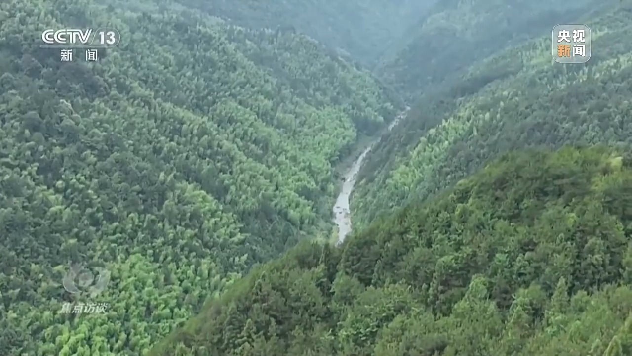 焦点访谈丨“海上牧场”“森林粮库”大食物观让人们吃饱又吃好(图11)