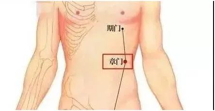 夏天脾胃最弱！这3个养胃穴很少人知道平时按一按比吃药还管用！(图5)